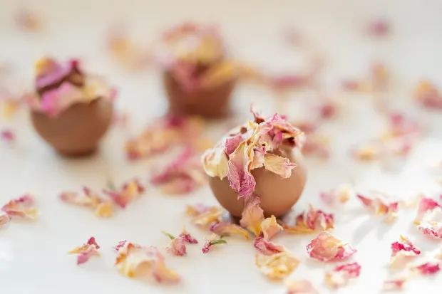 Pedalada10 Casino App Android/iOS